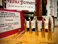 .300 Blackout 125 grain Hornady FMJ @ 2,050 FPS.