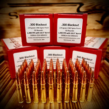 Slow Cooked Blackout Beans - 300BLK,  220 Grain CMJ Spire Point, 1000 FPS