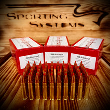 .300 Blackout 110 grain Hornady V-MAX @ 2,300 FPS.