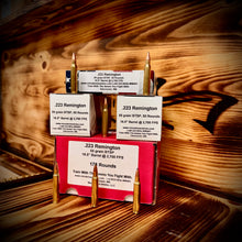 .223 Remington 55 grain BTSP @ 2,700 FPS