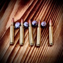 .223 Remington 55 grain BTSP @ 2,700 FPS