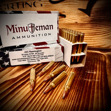 .223 Remington 55 grain BTSP @ 2,700 FPS