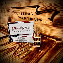 .223 Remington 55 grain BTSP @ 2,700 FPS