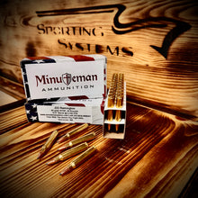 .223 Remington 55 grain BTSP @ 2,700 FPS