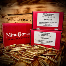 .223 Remington 55 grain BTSP @ 2,700 FPS