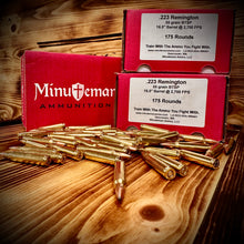 .223 Remington 55 grain BTSP @ 2,700 FPS